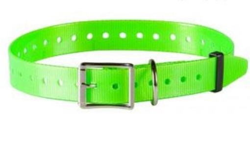 Immagine di COLLARE CACCIA cm.2,5x60 VERDE FLUO