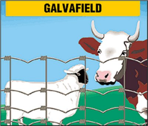 Immagine di RETE PECORE GALVAFIELD zootecnica - h100/8/15/50mt