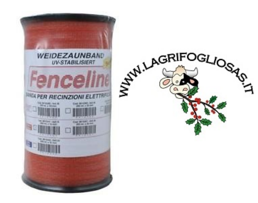 Immagine di Banda 20mm 6x0,16mm 200mt Arancio Fenceline