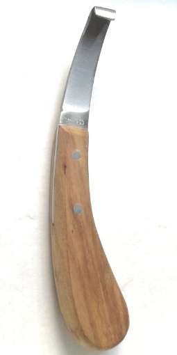 Immagine di Curasnetta Lama DX in Acciaio INOX - larga coltello per zoccoli