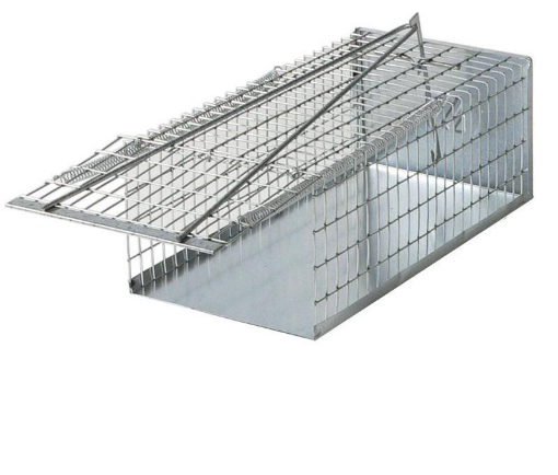 Immagine di TRAPPOLA TOPI GALLERIA cm20x12x10h