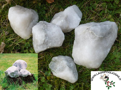 Blocchi Sale Animali Blocchi Sale Minerali Per Animali 6 Pezzi - Per Bovini, Cervi E Bestiame Leccatoio Bovini Cervi