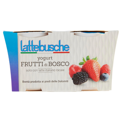 Immagine di YOGURT BUSCHE FRUTTI BOSCO 2 X GR.125