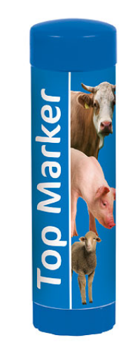 Immagine di Stick top Marker blu