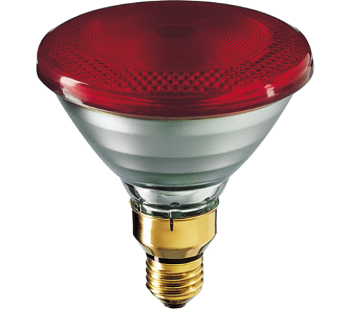 LAMPADA infrarossi Philips Rossa 100w rinforzata VETRO ROSSO