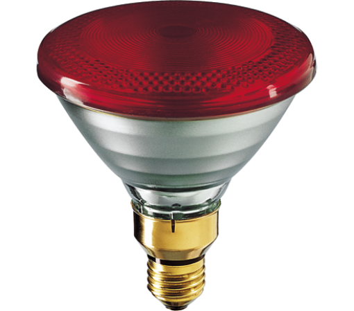 Immagine di LAMPADA infrarossi Philips Rossa 100w rinforzata VETRO ROSSO