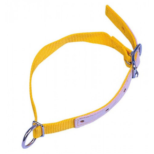 Immagine di Collare x PECORE in nylon 60cm Giallo