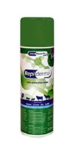 Immagine di Intra Repiderma Spray 250ml - Disinfettante