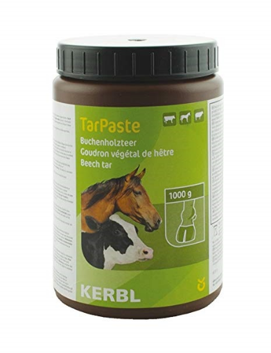 Immagine di Catrame Vegetale di Faggio 1kg TarPaste