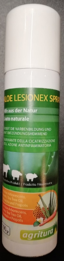 Immagine di Aloe Lesionex spray 100 gr