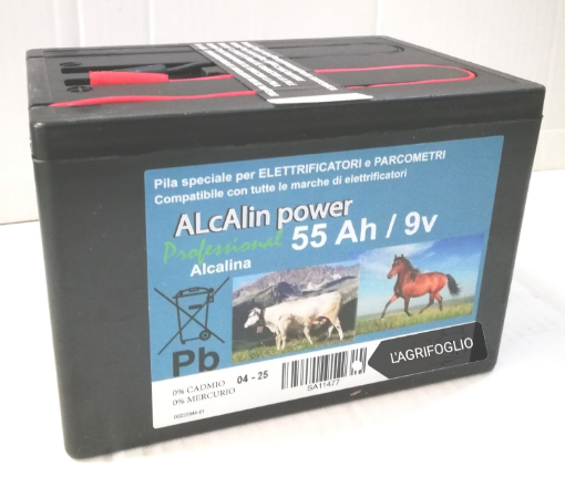 Immagine di BATTERIA PILA ALCALINA 9v 55Ah ALKA POWER