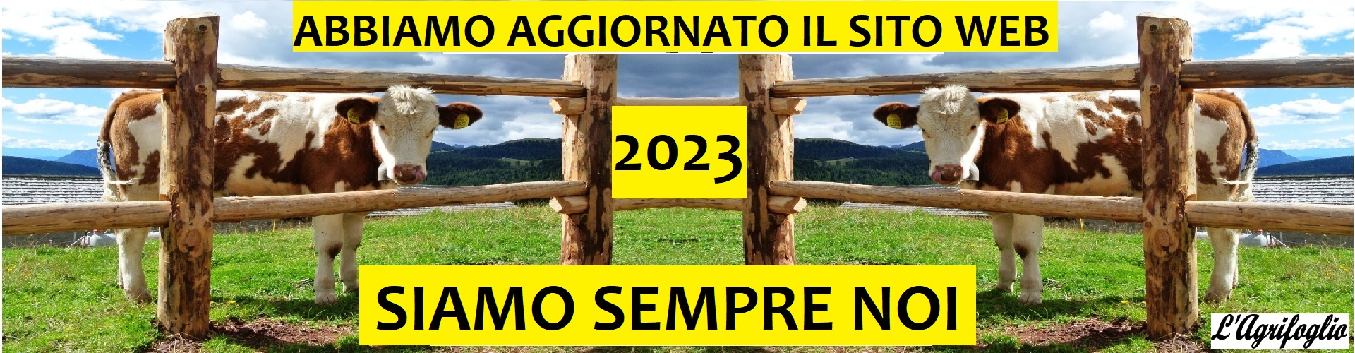 aggiornamento sito