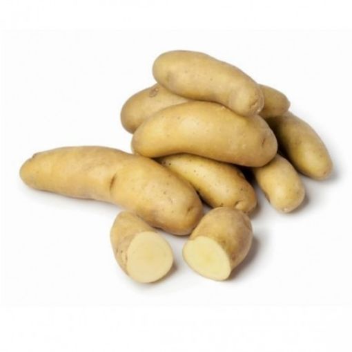 Immagine di PATATE RATTE da SEME Francia 32-40 PREZZO AL kg