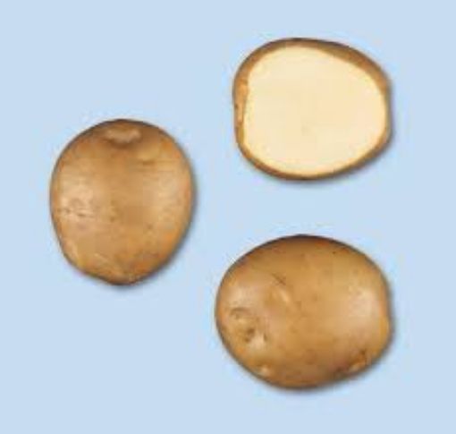 Immagine di PATATE DRAGA da SEME 35-50 sacco 25kg