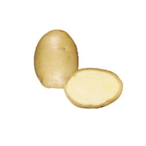 Immagine di PATATE CICERO da SEME 35-60 sacco 10kg Olanda
