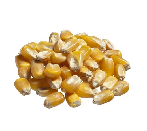 Immagine di MAIS INTERO no ogm SACCO KG.25