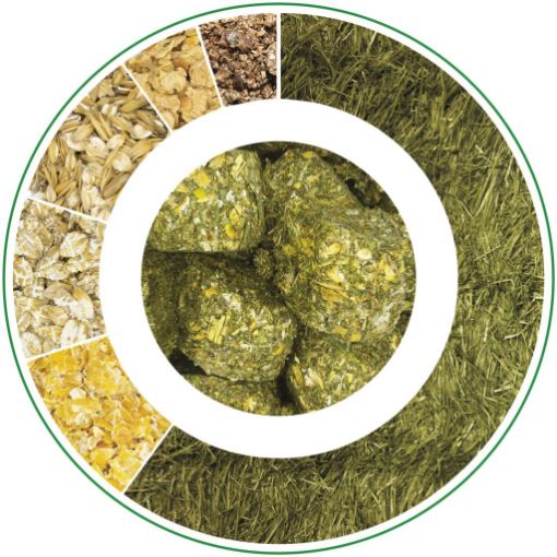 Immagine di WAFER FIOC CAVALLI sacco da kg25