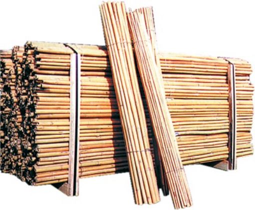 Immagine di CANNA BAMBOO CM.150-22/24 VERDEMAX