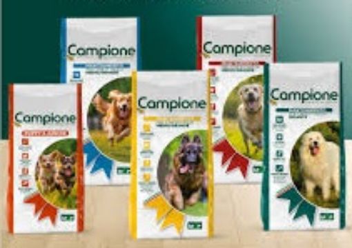 Immagine di CROCCHETTA CANE MANTENIMENTO GIGANTI KG.15 CAMPIONE verde