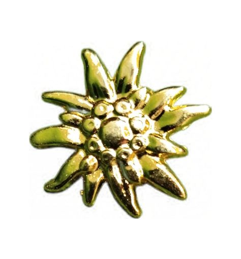 Immagine di STELLA ALPINA 37mm LEGA DORATA BORCHIA con bottone a battere