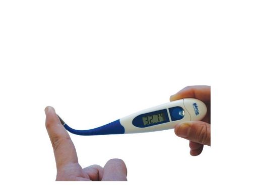 Immagine di Termometro Veterinario Digitale Digiflash Big