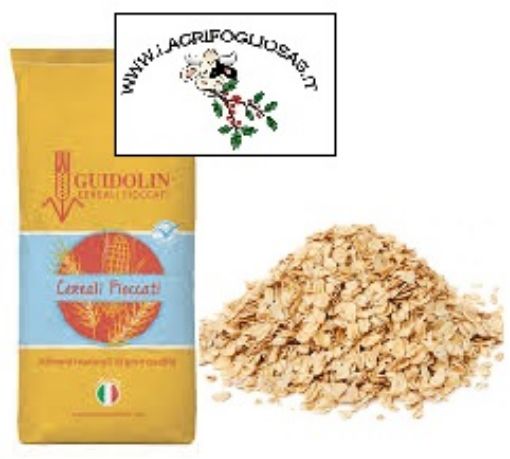 Immagine di AVENA FIOCCATA INTEGRALE U.Z. 20kg