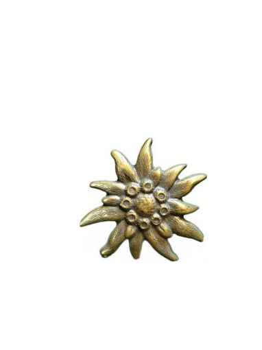 Immagine di Borchia Stella Alpina 40mm con ferretti a piegare