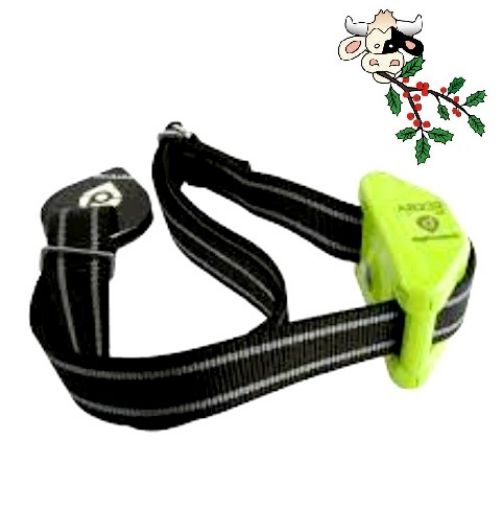 Immagine di Localizzatore GPS 4.0 per Animali al Pascolo