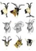 Immagine di CINTURA RICAMATA CON NOME E LOGO (capra-mucca-cavallo...) PERSONALIZZATA - DECORATA CM.100-120