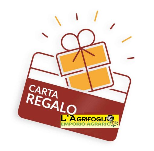 Immagine di CARTA REGALO L'AGRIFOGLIO