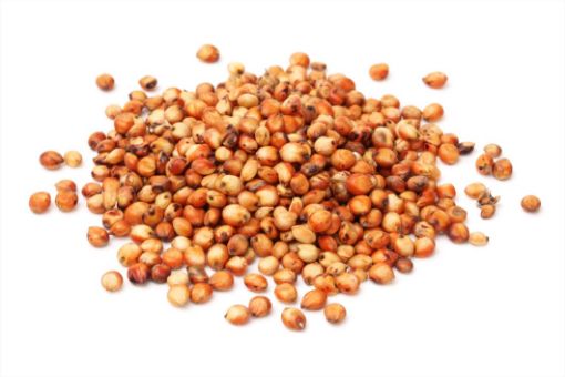 Immagine di SORGO ROSSO USO ZOOTECNICO sacco kg.25 prezzo al kg