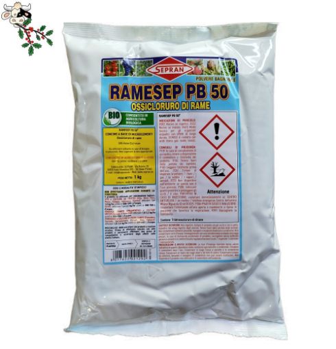 Immagine di RAMESEP PB50 Kg 1 - concime CE