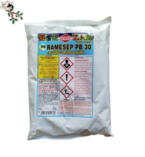 Immagine di RAMESEP PB30 Kg 1 - concime CE