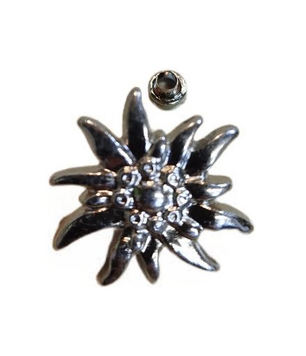 Immagine di STELLA ALPINA 37mm LEGA NICHEL