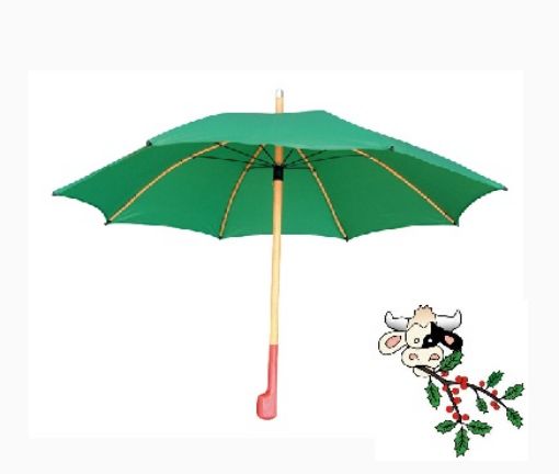 Immagine di OMBRELLO da Pastore N.30 VERDE 127CM