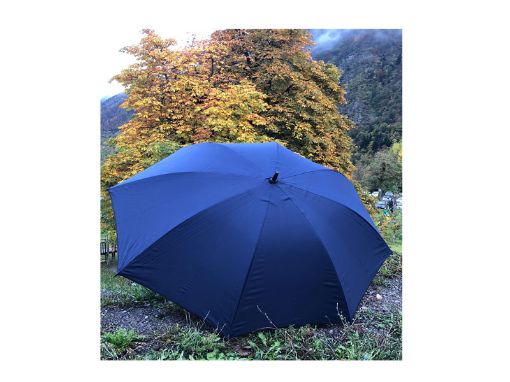 Immagine di OMBRELLO DA PASTORE IN FIBRA DI VETRO BLU/VERDE