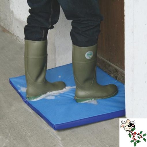 Immagine di TAPPETO ZERBINO DISINFETTANTE 55 x 45 x 3 cm