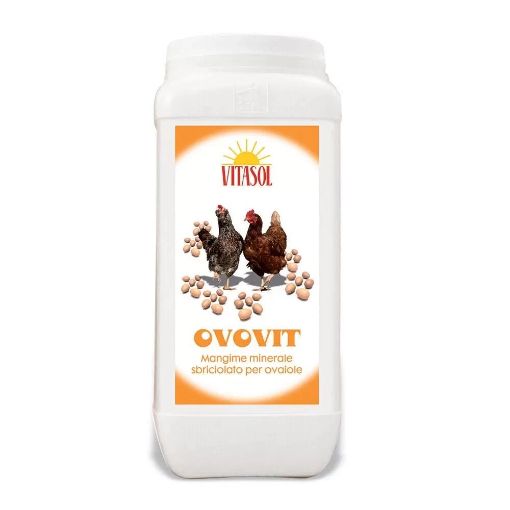 Immagine di VITASOL OVOVIT KG.1,5