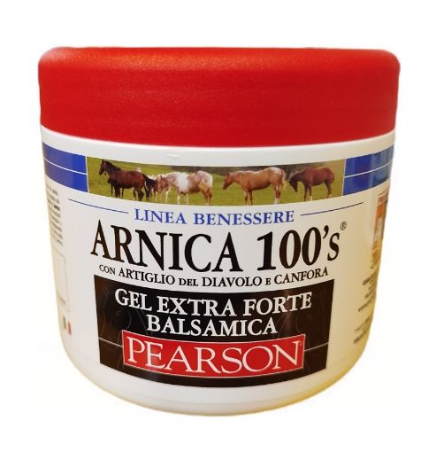 Immagine di ARNICA 100s BALSAMICA VET ML.500