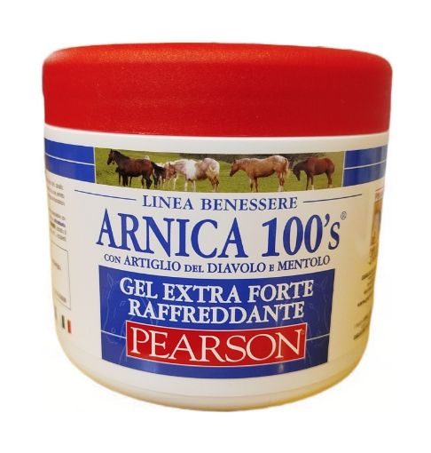 Immagine di ARNICA 100s RAFFREDDANTE VET ML.500