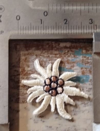 Immagine di Buegel-Edelweiss Stella alpina in stoffa Faustmann