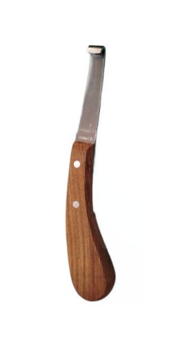 Immagine di Curasnetta Lama DX in Acciaio INOX - larga coltello per zoccoli