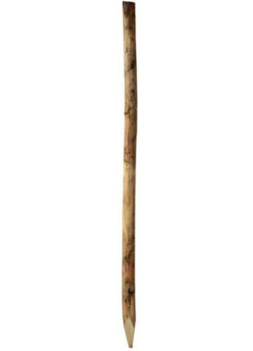 Immagine di PALO IN CASTAGNO D.10/12cm mt 2,50 con Punta x Recinzioni