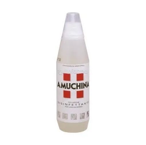 Immagine di Amuchina Disinfettante lt.1