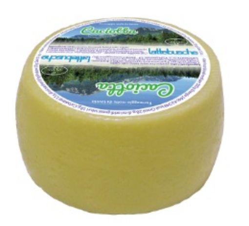 Immagine di FORMAGGIO CACIOTTA LATTEBUSCHE AL PZ. (GR.900 CA)
