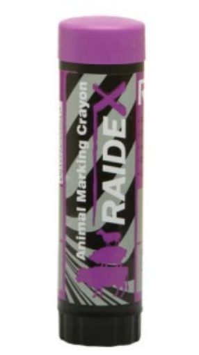 Immagine di Marcatore Stick VIOLA