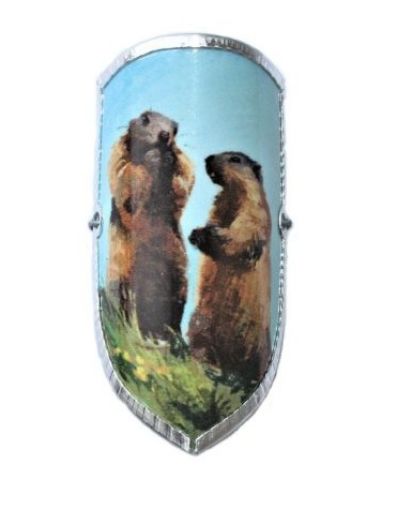 Immagine di STEMMA X BASTONI MARMOTTA